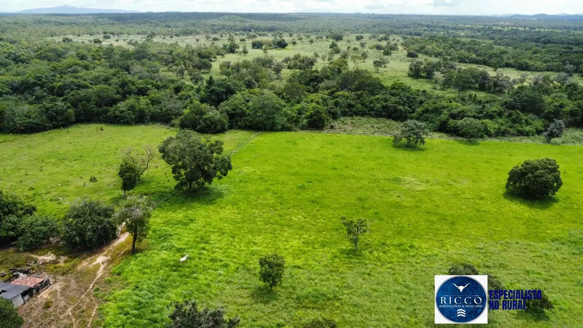 Fazenda / Haras à venda, 294m2 em Palmeiropolis - TO - imagem 9 Foto 9 de Fazenda / Haras à venda, 294m2 em Palmeiropolis - TO