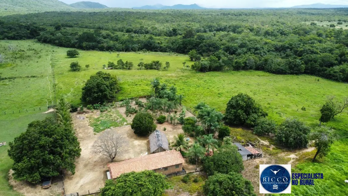 Fazenda / Haras à venda, 294m2 em Palmeiropolis - TO - imagem 7 Foto 7 de Fazenda / Haras à venda, 294m2 em Palmeiropolis - TO