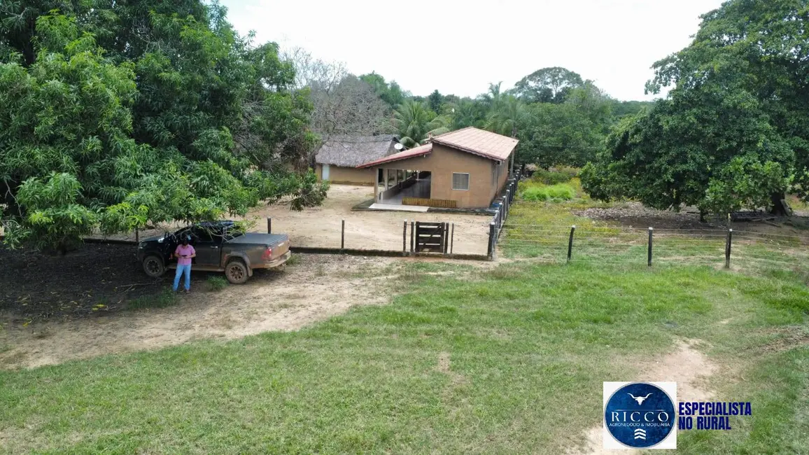 Fazenda / Haras à venda, 294m2 em Palmeiropolis - TO - imagem 8 Foto 8 de Fazenda / Haras à venda, 294m2 em Palmeiropolis - TO