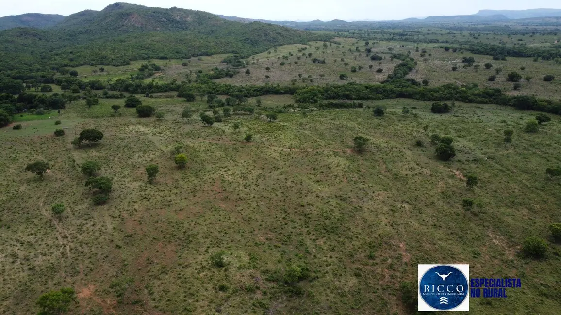Foto 5 de Fazenda / Haras à venda, 668m2 em Setor Central, Parana - TO