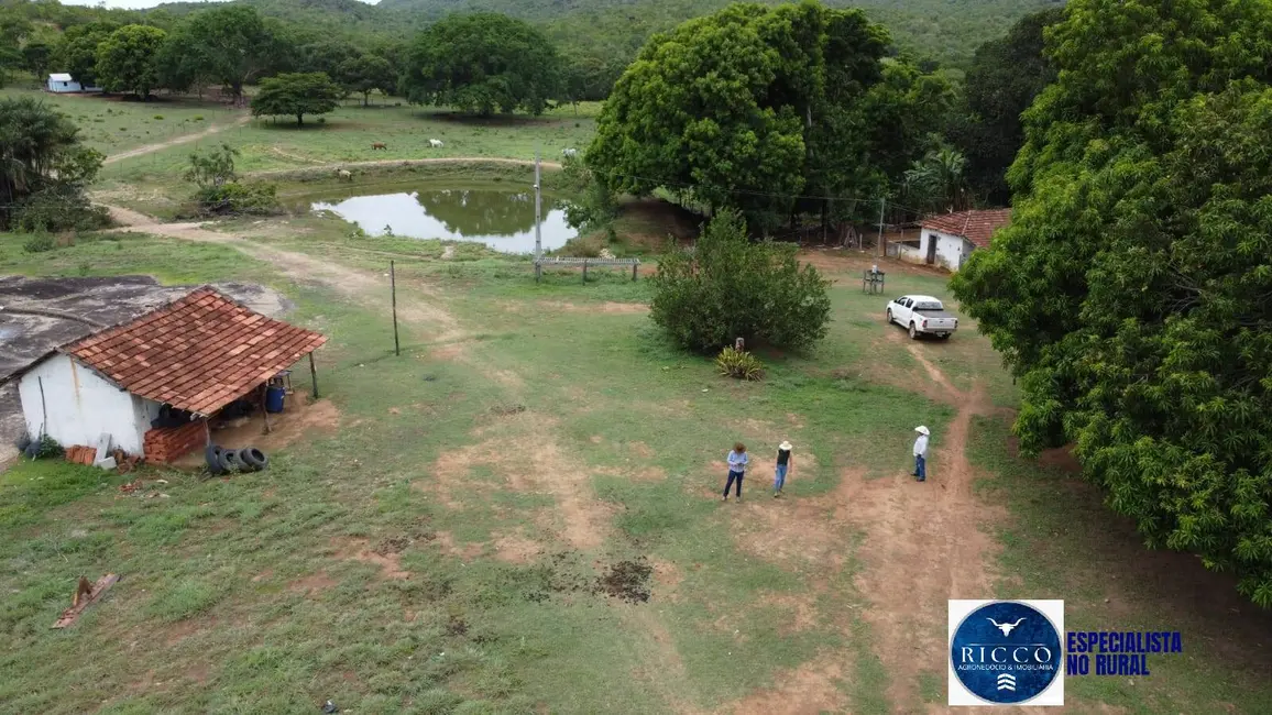 Foto 4 de Fazenda / Haras à venda, 668m2 em Setor Central, Parana - TO