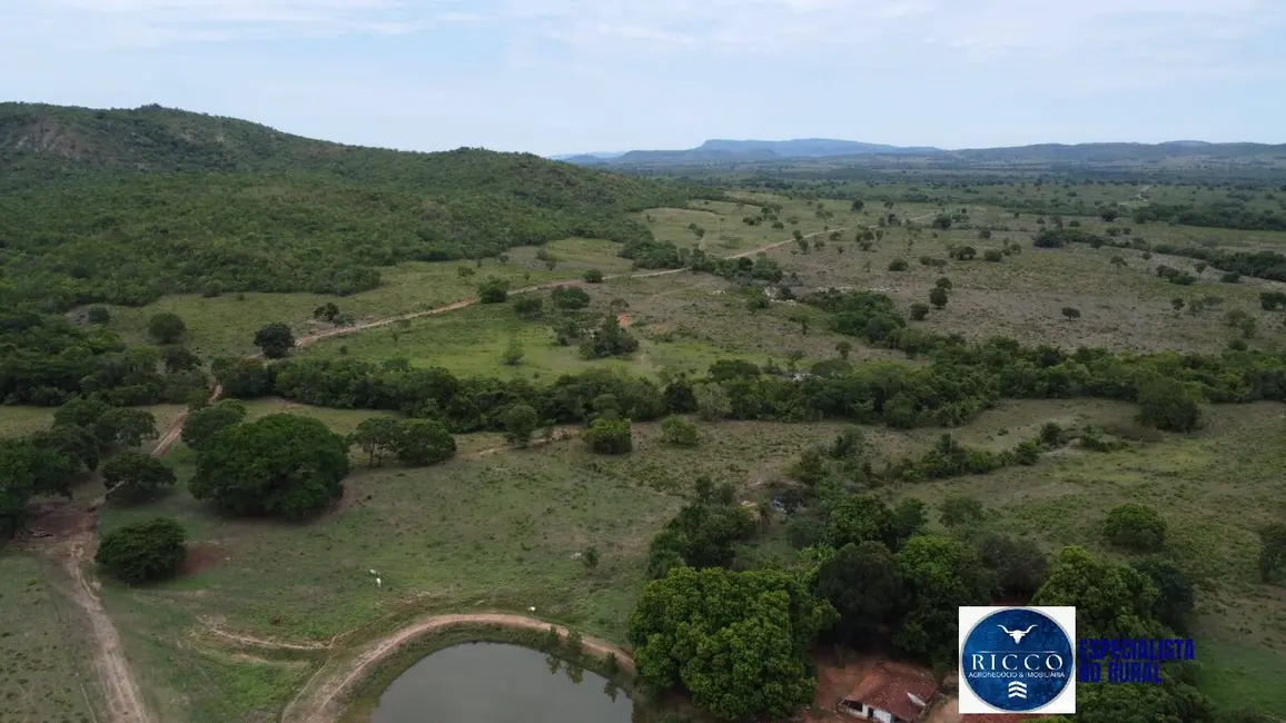 Foto 7 de Fazenda / Haras à venda, 668m2 em Setor Central, Parana - TO