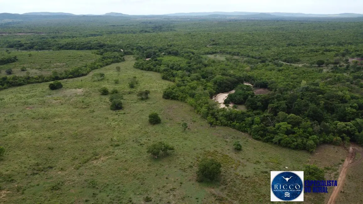 Foto 1 de Fazenda / Haras à venda, 668m2 em Setor Central, Parana, TO
