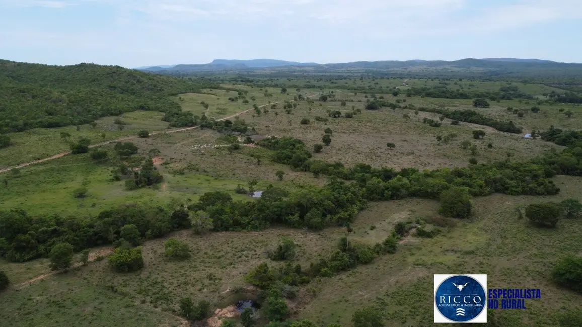 Foto 9 de Fazenda / Haras à venda, 668m2 em Setor Central, Parana - TO