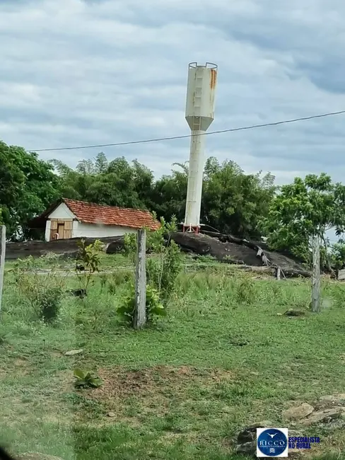 Foto 3 de Fazenda / Haras à venda, 668m2 em Setor Central, Parana - TO