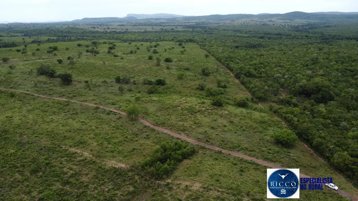 Foto 6 de Fazenda / Haras à venda, 668m2 em Setor Central, Parana - TO