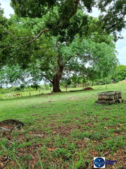 Foto 8 de Fazenda / Haras à venda, 668m2 em Setor Central, Parana - TO