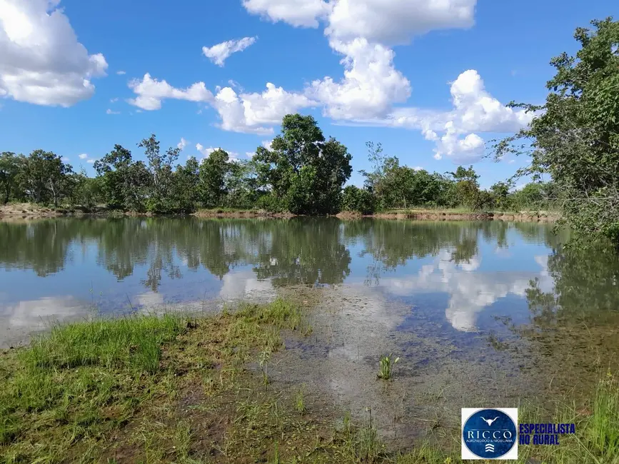 Foto 4 de Fazenda / Haras à venda, 454m2 em Parana - TO