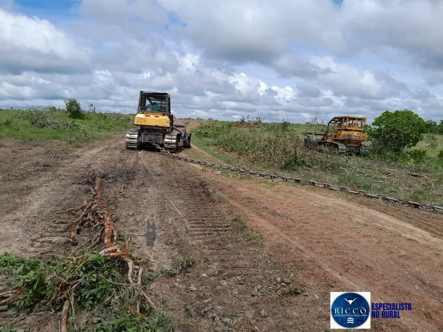 Foto 3 de Fazenda / Haras à venda, 454m2 em Parana - TO