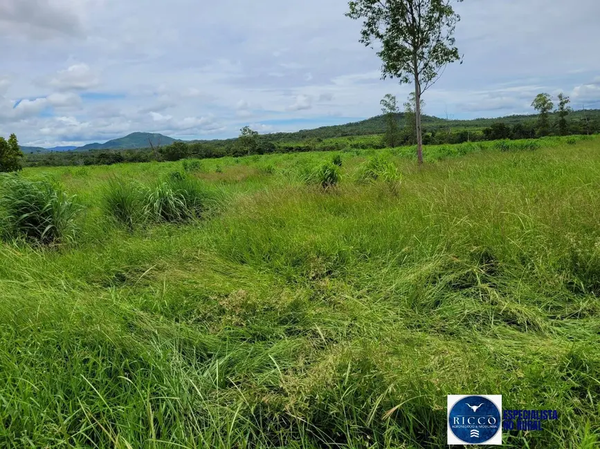 Foto 4 de Fazenda / Haras à venda, 480m2 em Parana - TO