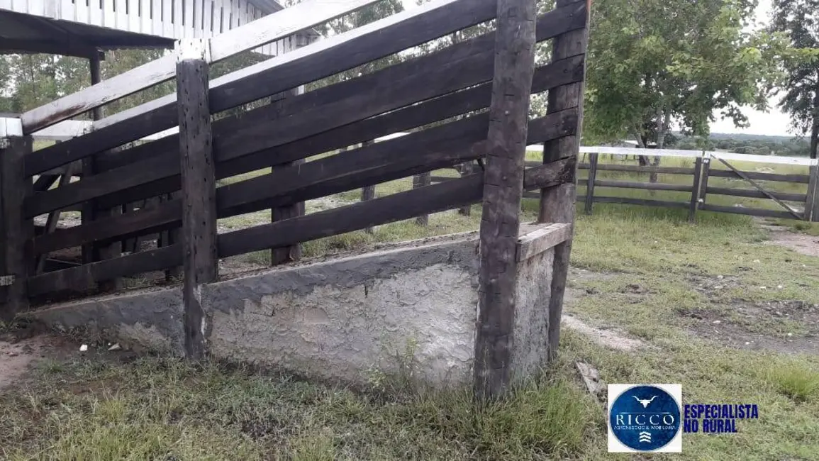 Foto 5 de Fazenda / Haras à venda, 480m2 em Parana - TO