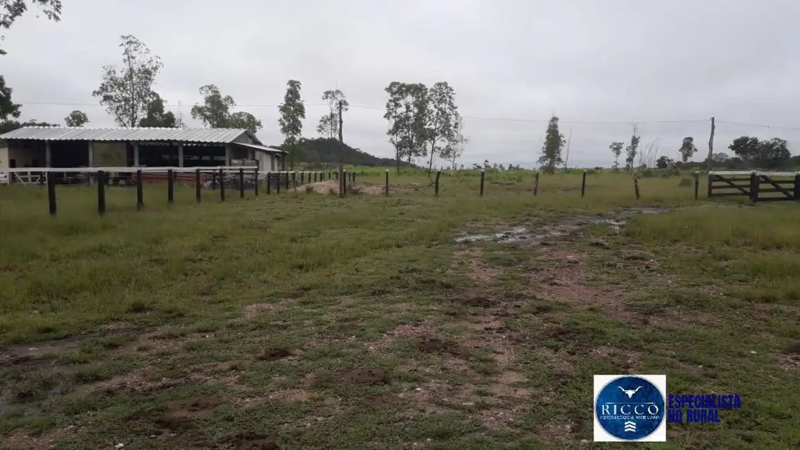 Foto 3 de Fazenda / Haras à venda, 480m2 em Parana - TO