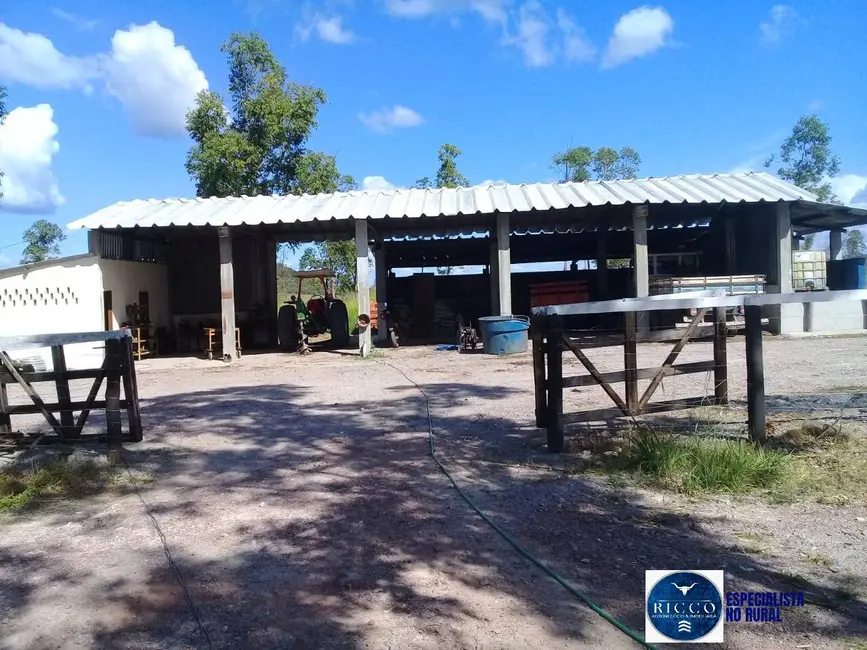 Foto 7 de Fazenda / Haras à venda, 480m2 em Parana - TO