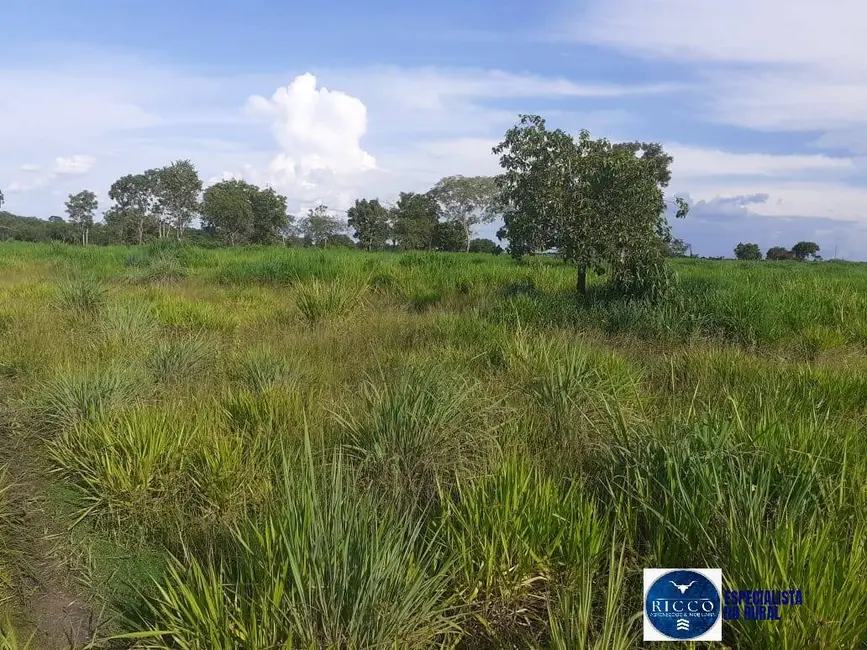 Foto 9 de Fazenda / Haras à venda, 480m2 em Parana - TO