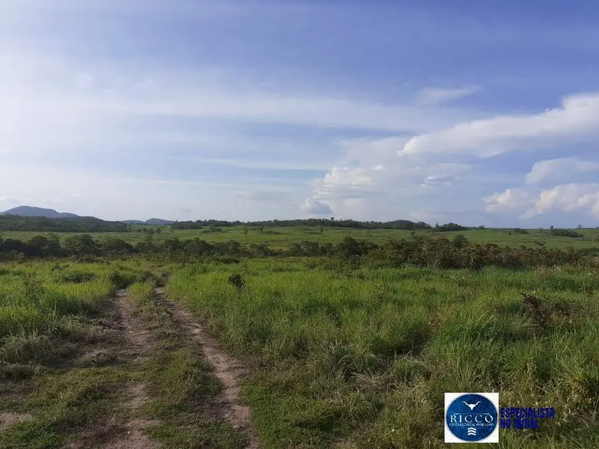 Foto 8 de Fazenda / Haras à venda, 480m2 em Parana - TO