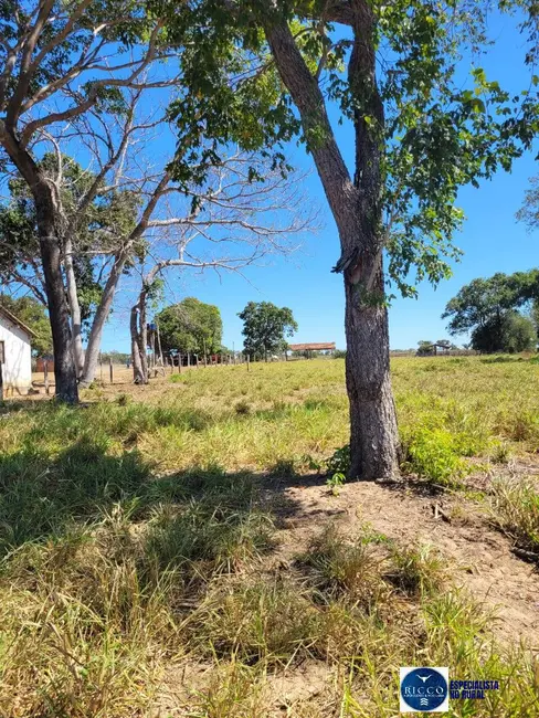 Foto 4 de Fazenda / Haras à venda, 426m2 em Parana - TO