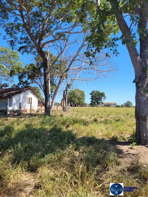 Foto 2 de Fazenda / Haras à venda, 426m2 em Parana - TO