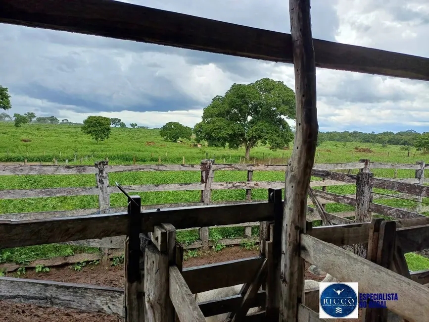 Foto 3 de Fazenda / Haras à venda, 426m2 em Parana - TO