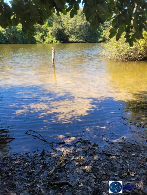 Foto 6 de Fazenda / Haras à venda, 426m2 em Parana - TO