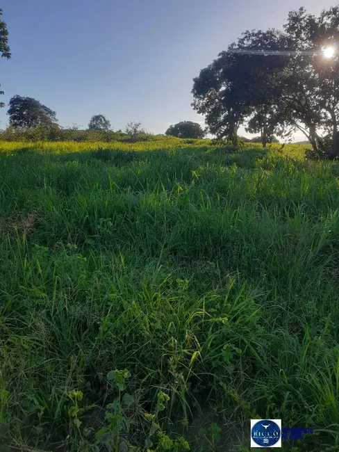 Foto 5 de Fazenda / Haras à venda, 1095m2 em Parana - TO