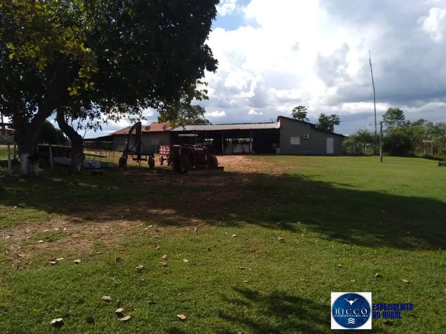 Foto 1 de Fazenda / Haras à venda, 1095m2 em Parana - TO