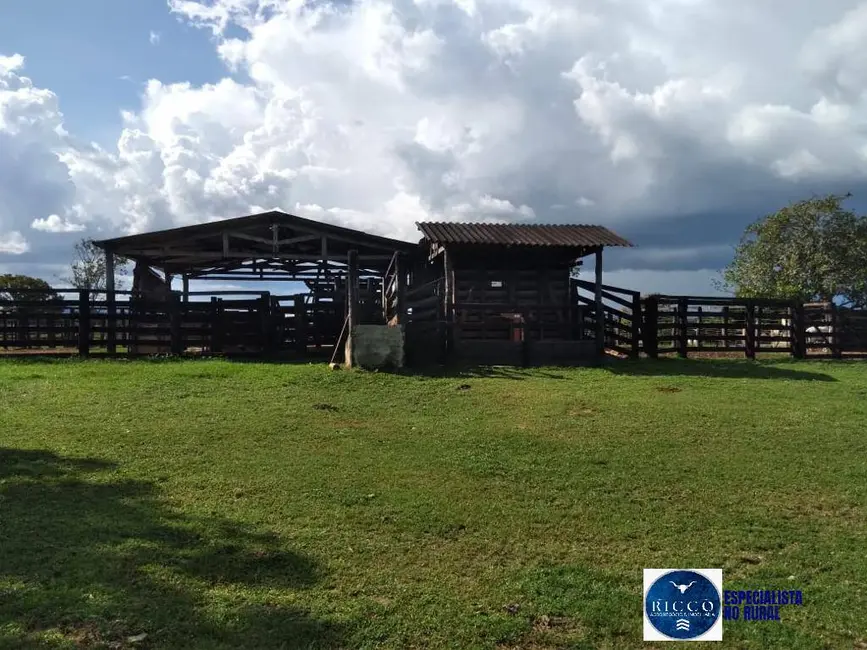 Foto 2 de Fazenda / Haras à venda, 1095m2 em Parana - TO