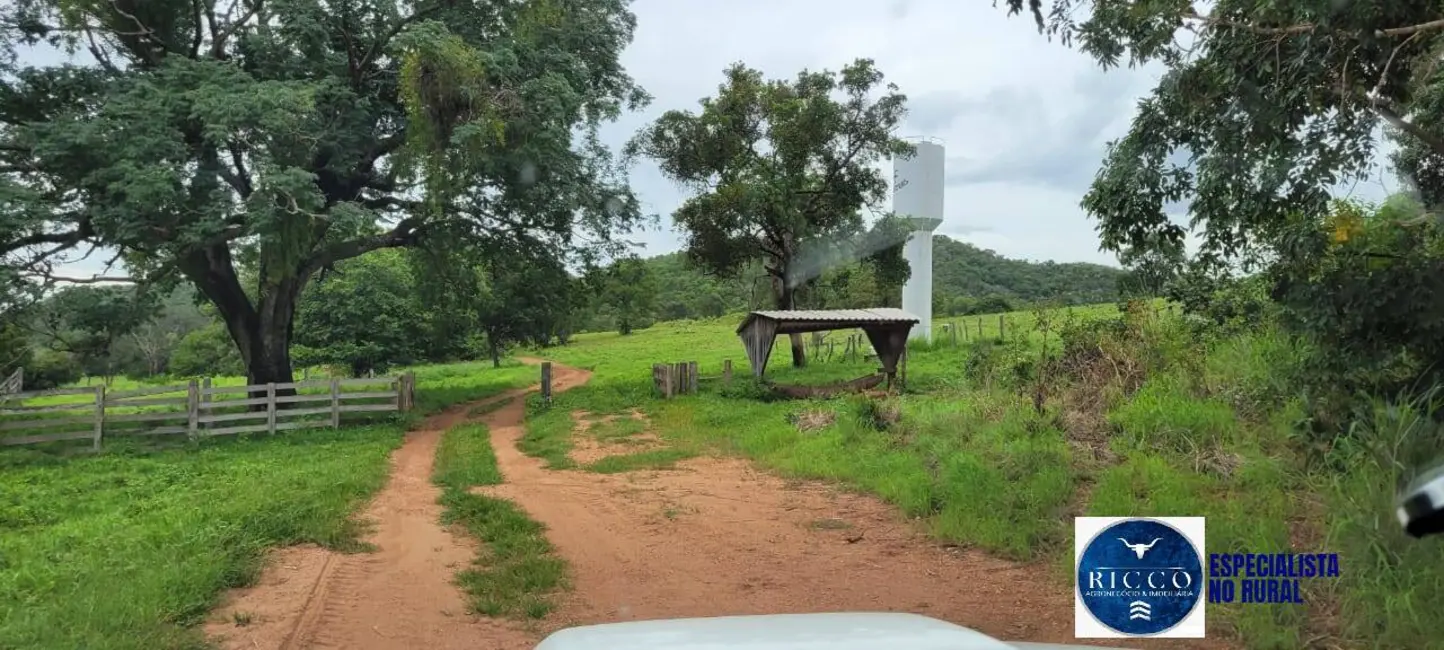 Foto 9 de Fazenda / Haras à venda, 529m2 em Sao Salvador Do Tocantins - TO