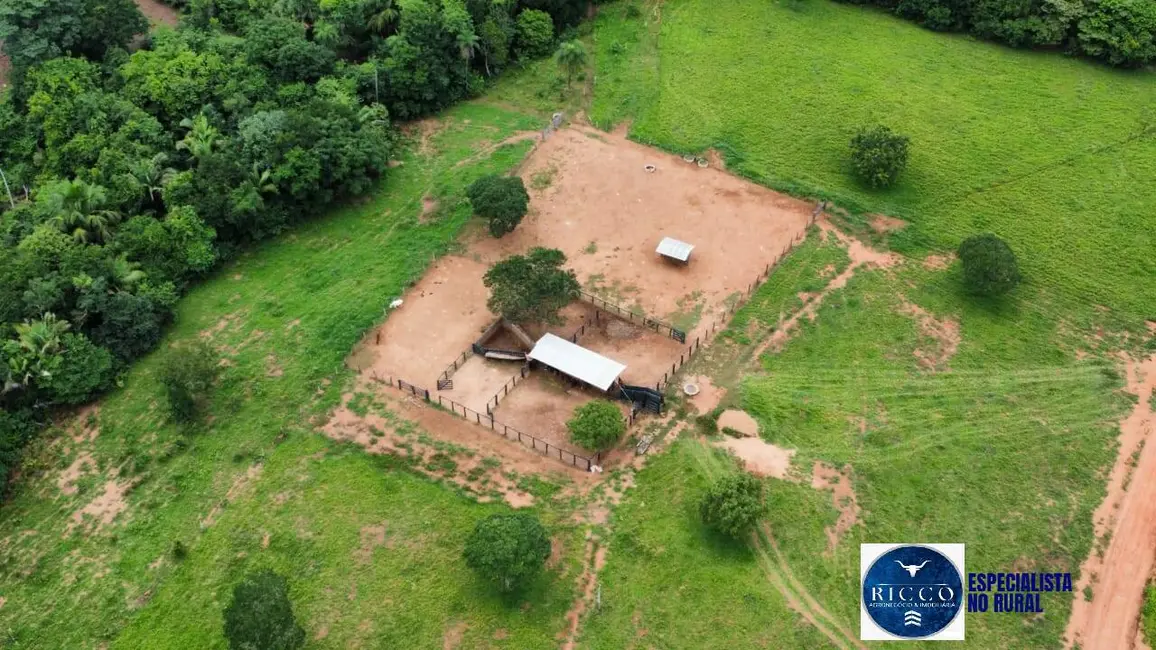 Foto 1 de Fazenda / Haras à venda, 529m2 em Sao Salvador Do Tocantins - TO