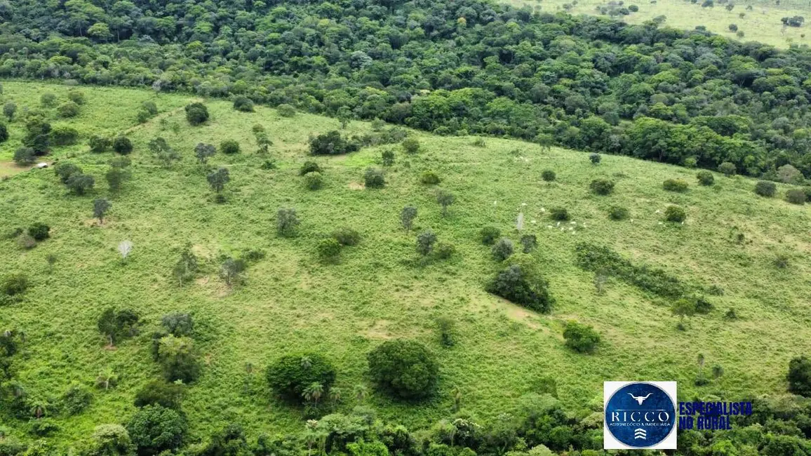 Foto 4 de Fazenda / Haras à venda, 529m2 em Sao Salvador Do Tocantins - TO