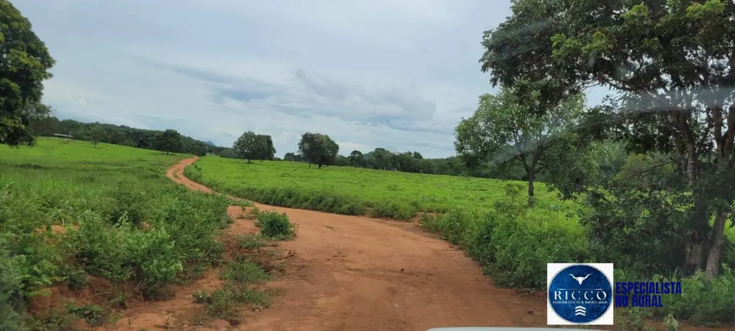 Foto 8 de Fazenda / Haras à venda, 529m2 em Sao Salvador Do Tocantins - TO
