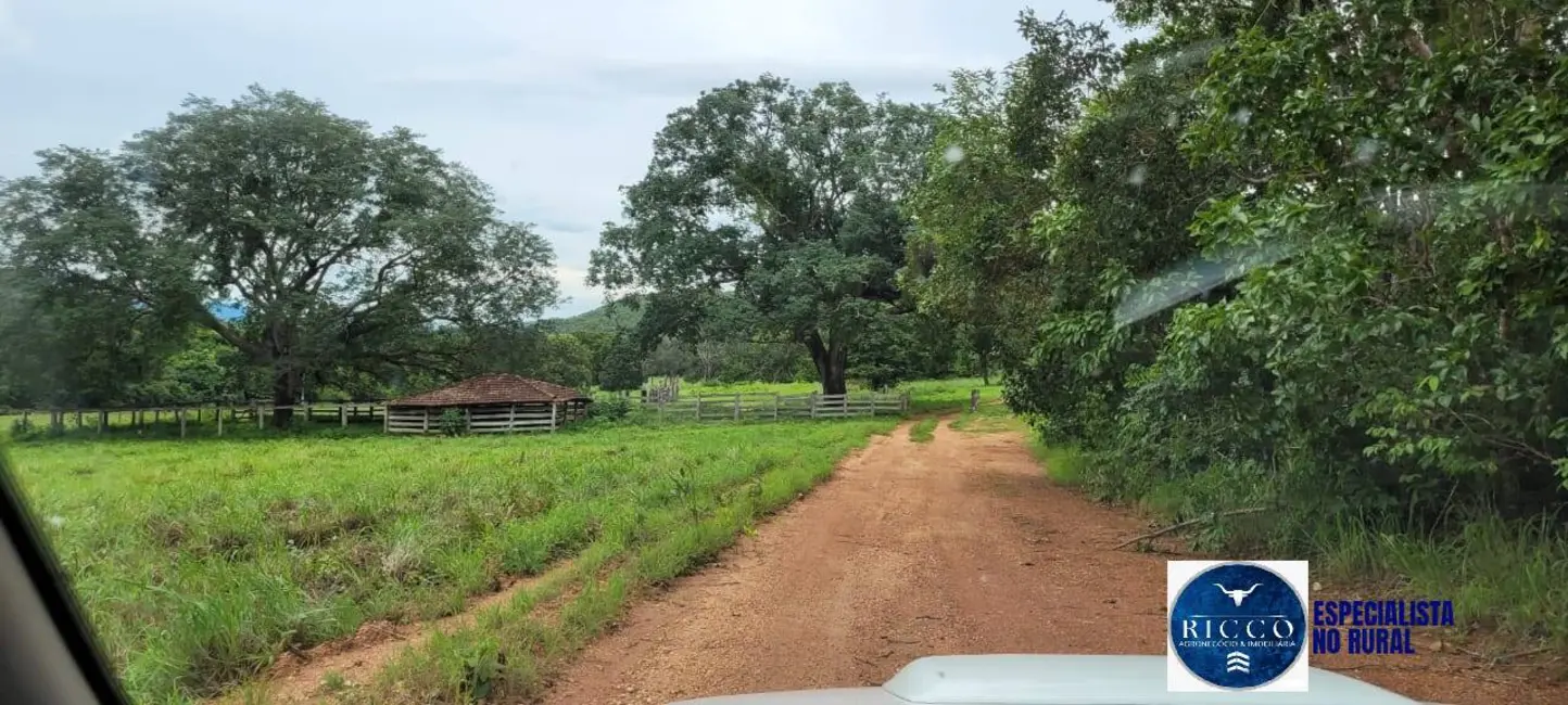 Foto 3 de Fazenda / Haras à venda, 529m2 em Sao Salvador Do Tocantins - TO
