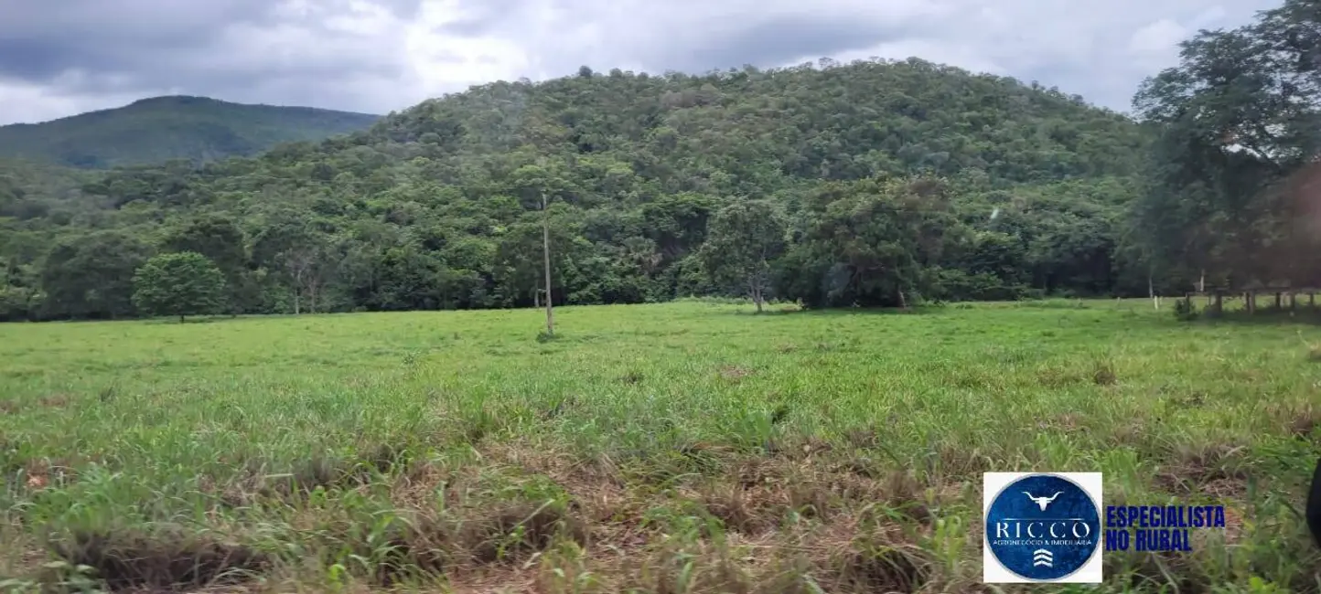 Foto 7 de Fazenda / Haras à venda, 529m2 em Sao Salvador Do Tocantins - TO