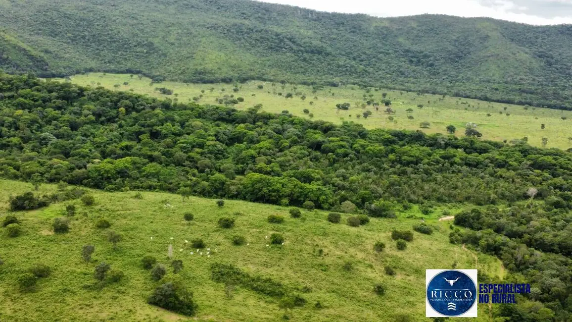 Foto 6 de Fazenda / Haras à venda, 529m2 em Sao Salvador Do Tocantins - TO