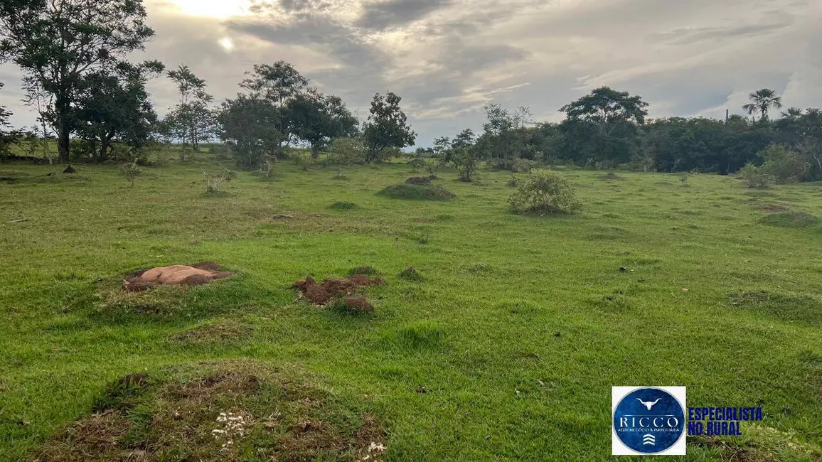 Foto 3 de Fazenda / Haras à venda, 307m2 em Caiaponia - GO