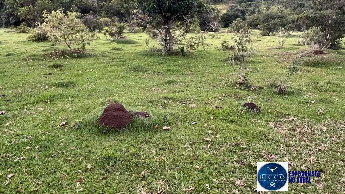 Foto 4 de Fazenda / Haras à venda, 307m2 em Caiaponia - GO
