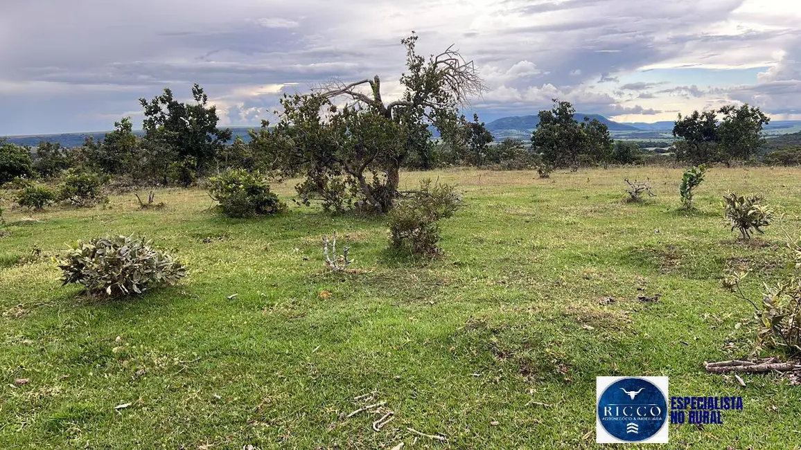 Foto 6 de Fazenda / Haras à venda, 307m2 em Caiaponia - GO