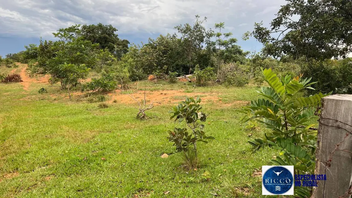 Foto 5 de Fazenda / Haras à venda, 307m2 em Caiaponia - GO