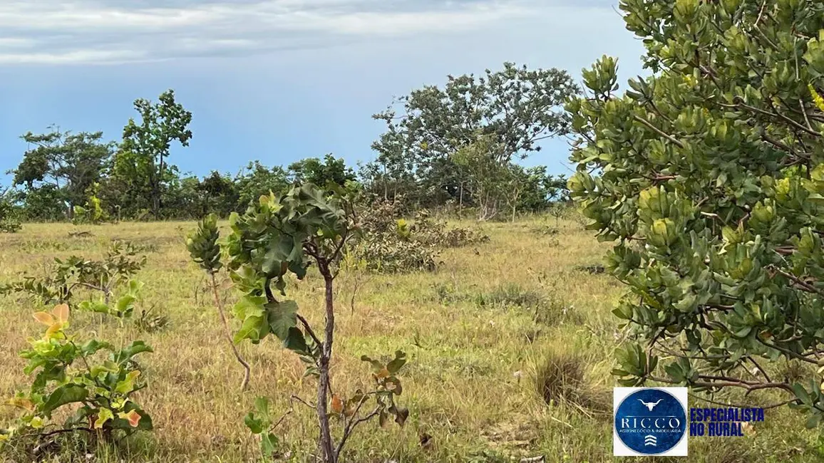 Foto 2 de Fazenda / Haras à venda, 307m2 em Caiaponia - GO