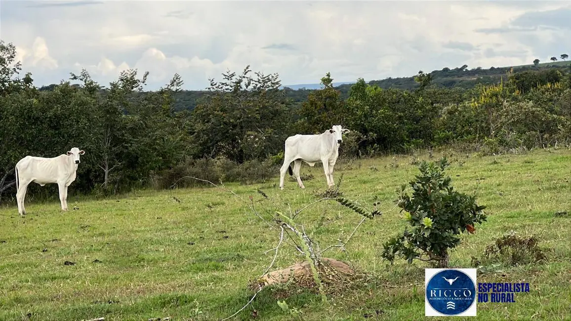 Foto 8 de Fazenda / Haras à venda, 307m2 em Caiaponia - GO