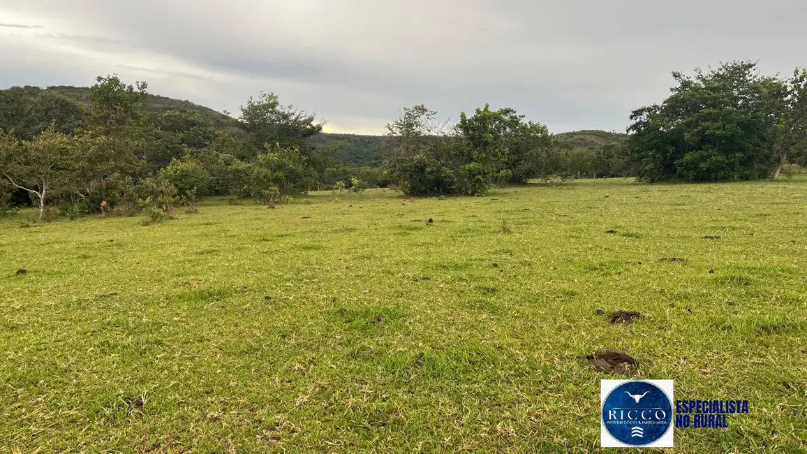 Foto 9 de Fazenda / Haras à venda, 307m2 em Caiaponia - GO