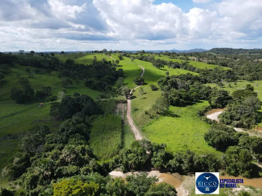 Foto 2 de Fazenda / Haras à venda, 45m2 em Itapuranga - GO