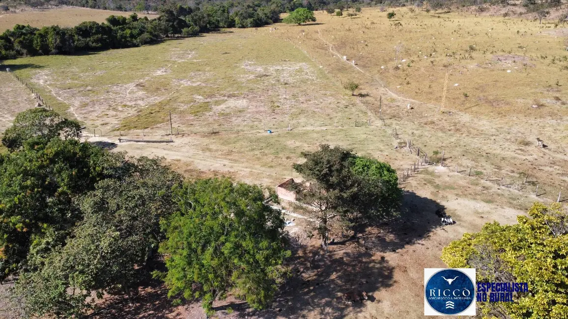 Foto 6 de Fazenda / Haras à venda, 45m2 em Itapuranga - GO