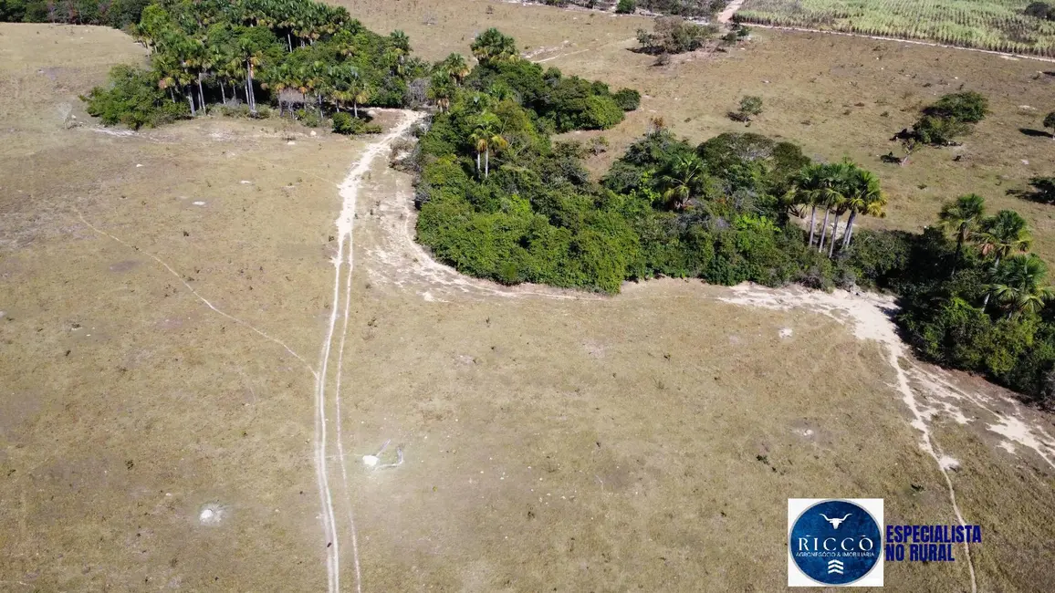 Foto 3 de Fazenda / Haras à venda, 45m2 em Itapuranga - GO