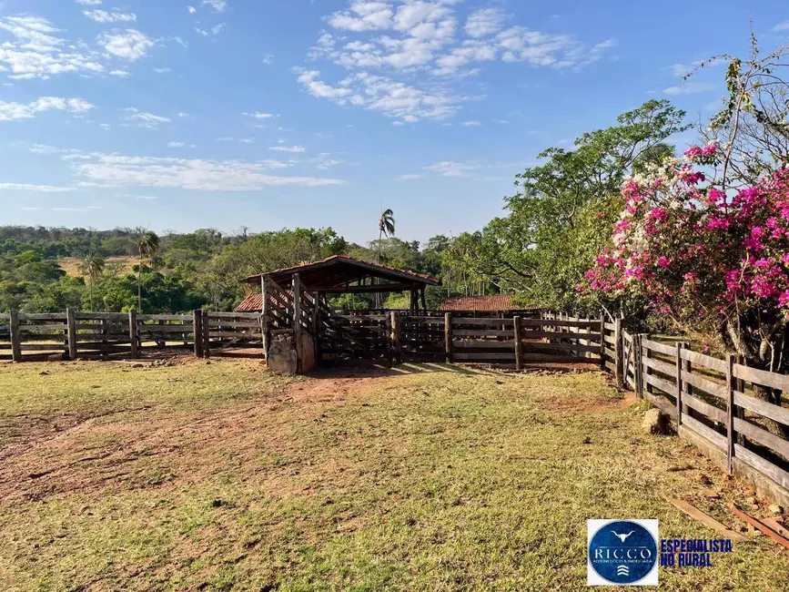 Foto 1 de Fazenda / Haras com 3 quartos à venda, 47m2 em Itaucu - GO
