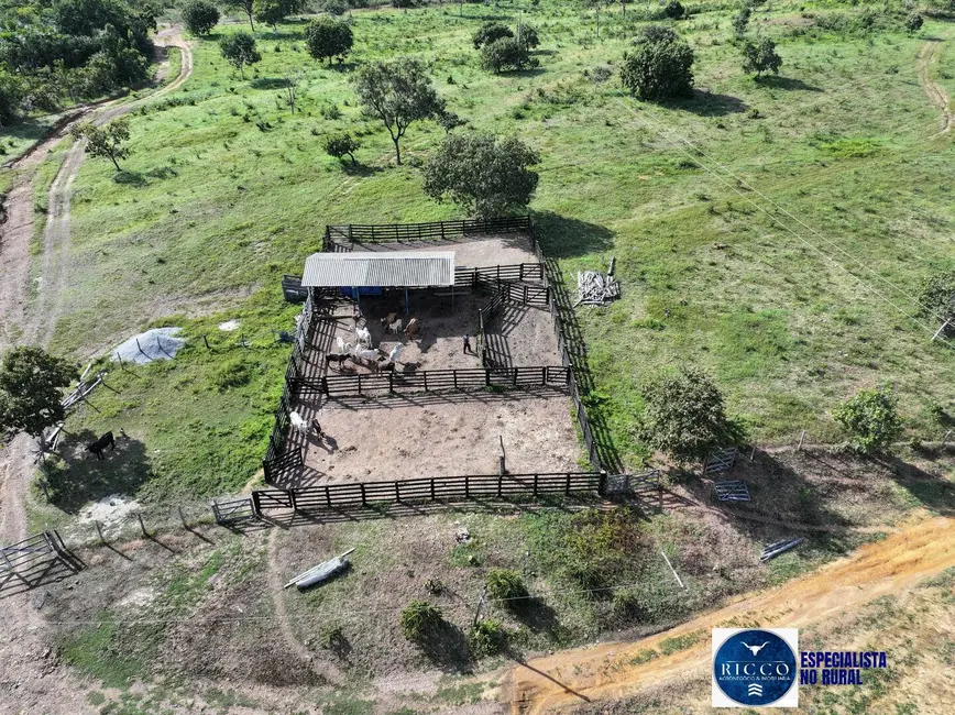 Foto 3 de Fazenda / Haras com 3 quartos à venda, 126m2 em Cavalcante - GO