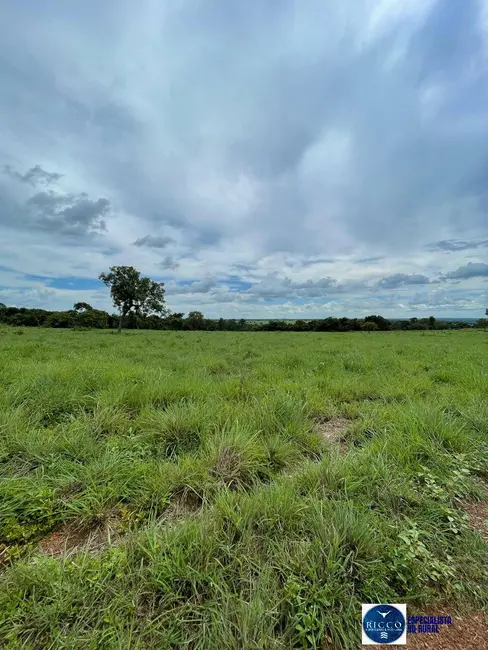 Foto 6 de Fazenda / Haras com 4 quartos à venda, 50m2 em Sao Miguel Do Araguaia - GO