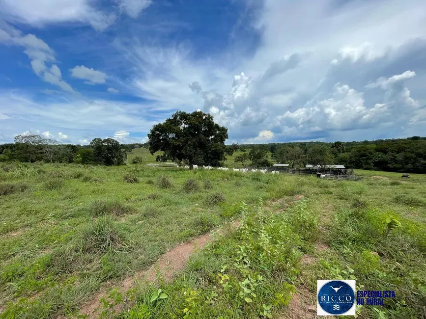 Foto 8 de Fazenda / Haras com 4 quartos à venda, 50m2 em Sao Miguel Do Araguaia - GO