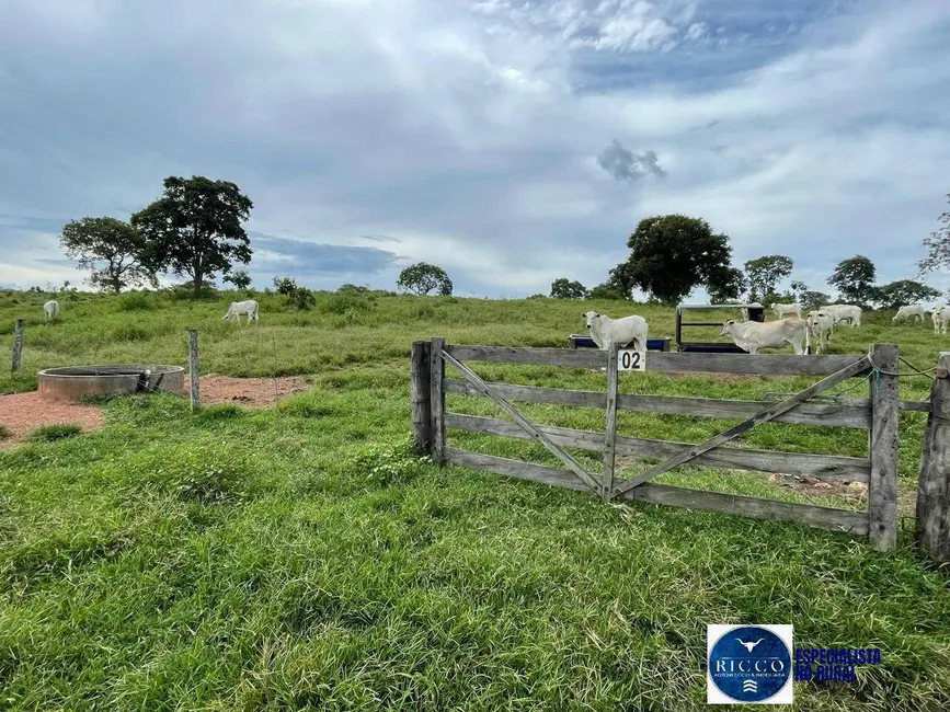 Foto 3 de Fazenda / Haras com 4 quartos à venda, 50m2 em Sao Miguel Do Araguaia - GO