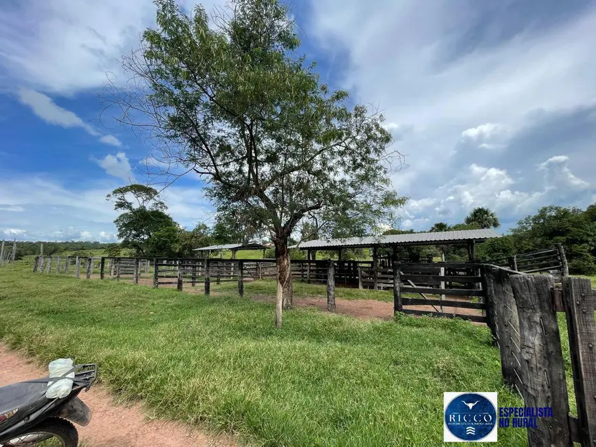 Foto 4 de Fazenda / Haras com 4 quartos à venda, 50m2 em Sao Miguel Do Araguaia - GO