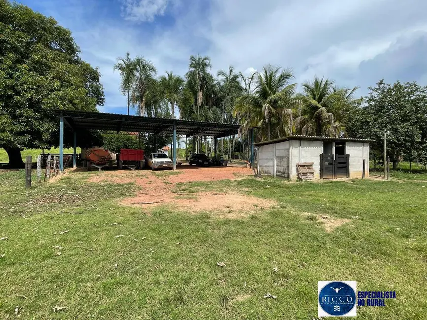 Foto 7 de Fazenda / Haras com 4 quartos à venda, 50m2 em Sao Miguel Do Araguaia - GO